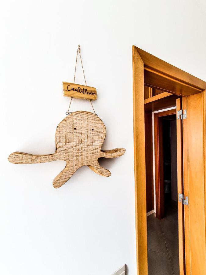 ساغريش Jelly Fish Guest House المظهر الخارجي الصورة